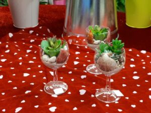 trois terrariums sur une table